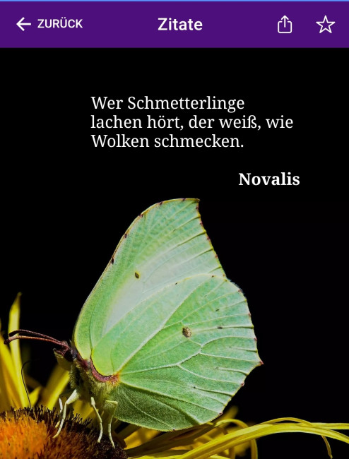 Zuspruch für Sie